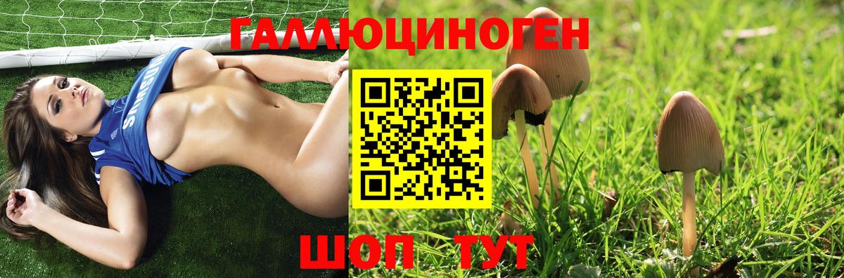 Псилоцибиновые грибы Psilocybine cubensis Балашов