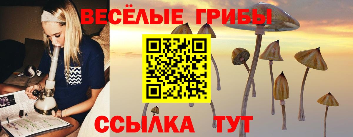 Галлюциногенные грибы Psilocybine cubensis  Вход с VPN  Балашов 